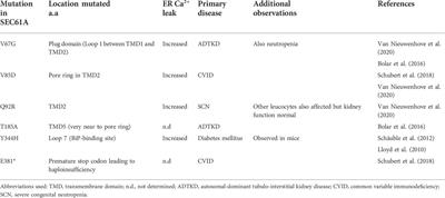 Sec61 complex/translocon: The role of an atypical ER Ca2+-leak channel in health and disease